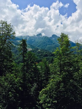 Rosa Khutor Sochi Dağları