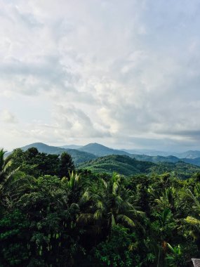 Phuket adasındaki taş kıyı şeridi.