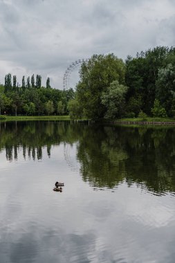 Bulutlu bir yaz gününde Izmaylovsky parkında dönme dolap.