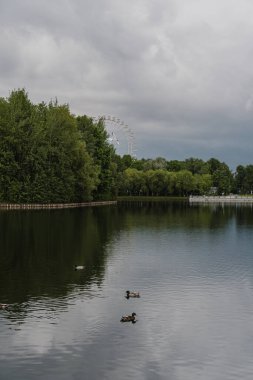 Moskova 'daki Izmailovsky Parkı bulutlu bir yaz gününde