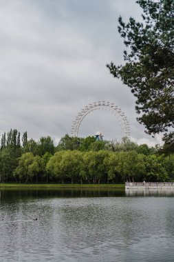 Moskova Izmaylovsky Parkı 'ndaki gölet güneşli bir yaz gününde