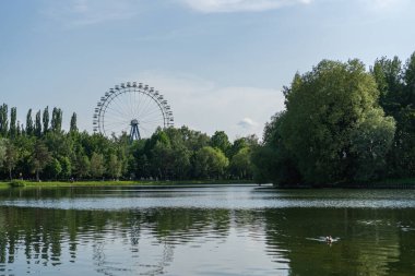 Yazın Moskova 'daki Izmailovsky parkında dönme dolap.