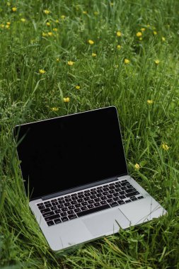 Laptop yeşil çimlerin üzerinde, çiçeklerin arasında duruyor.