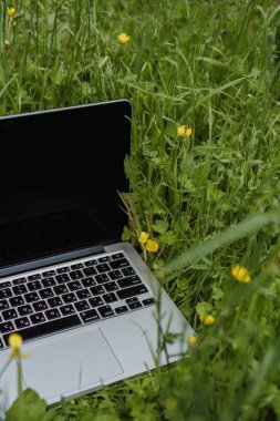 Laptop yeşil çimlerin üzerinde, çiçeklerin arasında duruyor.