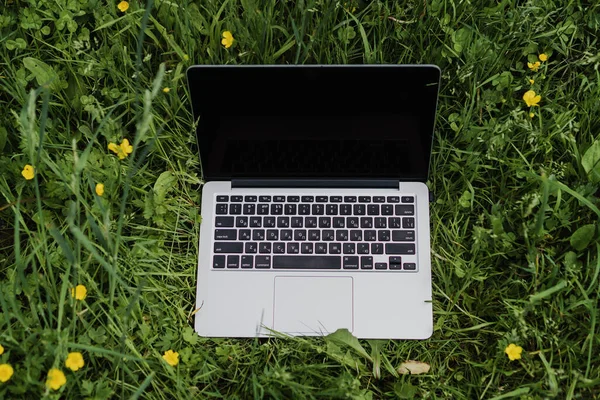 laptop stands in green grass in the park