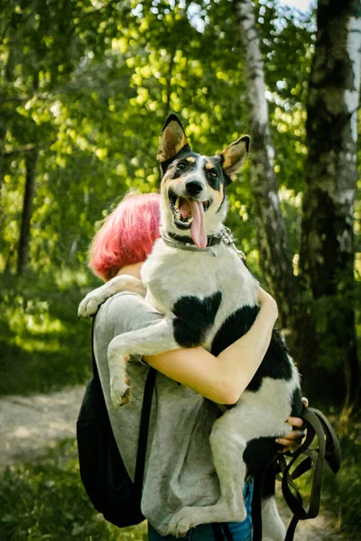 Pige Holder Hund Sine Arme - Stock-foto