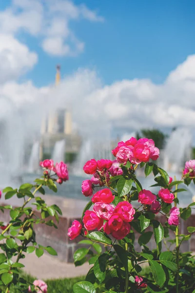 Συντριβάνι Πέτρα Λουλούδι Στο Vdnkh Στη Μόσχα Καλοκαίρι 2020 — Φωτογραφία Αρχείου