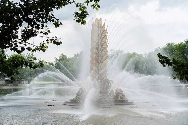 Συντριβάνι Golden Colossus Στο Vdnkh Στη Μόσχα Καλοκαίρι 2020 — Φωτογραφία Αρχείου