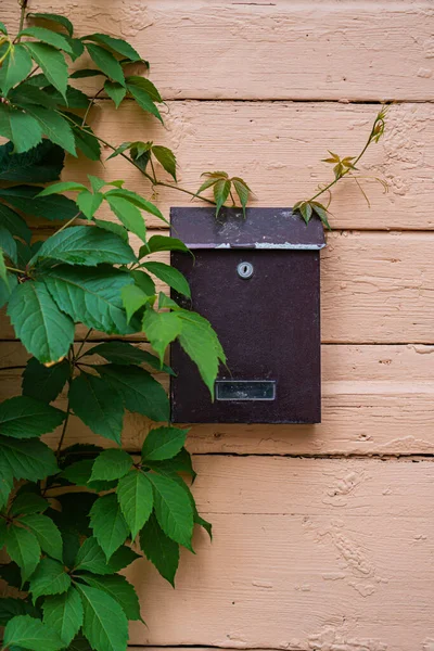 Brievenbus Muur Van Een Houten Huis — Stockfoto