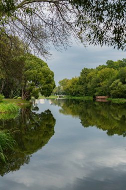 Yazın Moskova 'daki VDNKh parkında gölet
