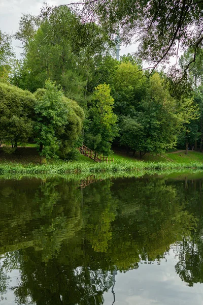Yazın göldeki yeşil ağaçların yansıması