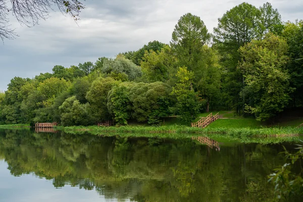 Reflexão Árvores Verdes Uma Lagoa Verão — Fotografia de Stock