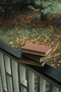 Sonbahar parkında üç eski kitap yatıyor.