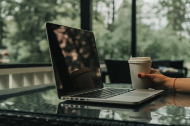 Kız bir kafede dizüstü bilgisayarın yanında oturuyor. Yakınlarda bir bardak kahve var.