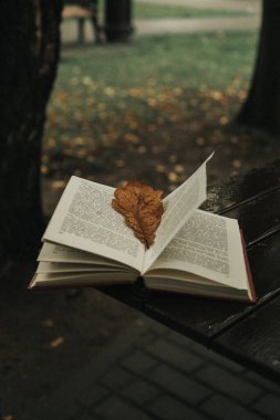 Açık bir kitap sonbahar akçaağaç yaprağı olan bir masanın üzerinde yatıyor.