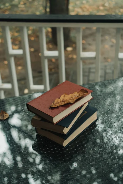 Três Livros Antigos Jazem Parque Outono — Fotografia de Stock