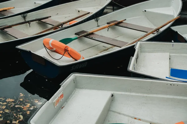 Moskova 'daki Izmailovsky Park' ta sonbahar