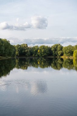 Gölet suyundaki ağaçların yansıması
