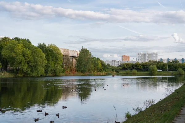 Étangs Près Université Timiryazev Moscou Automne 2020 — Photo