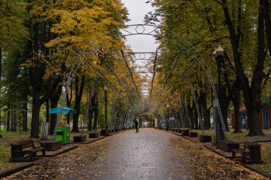 Moskova 2020 Izmailovsky Parkı 'nda sonbahar.