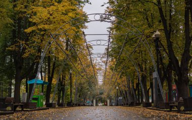 Moskova 2020 Izmailovsky Parkı 'nda sonbahar.