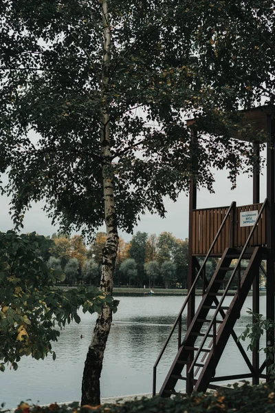 러시아 가을에 이즈마 공원의 2020 — 스톡 사진