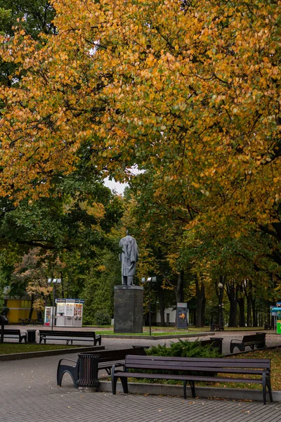 Herbst Ismailowski Park Moskau 2020 — Stockfoto