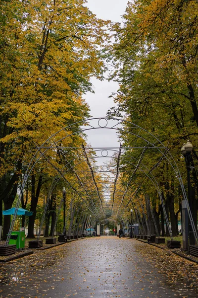 Herbst Ismailowski Park Moskau 2020 — Stockfoto