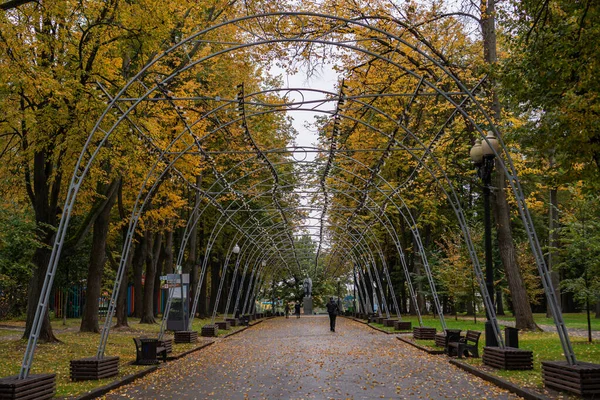 Восени Парку Ізмайловський Москві 2020 Рік — стокове фото