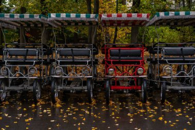 Sonbaharda parka park edilmiş bisikletler