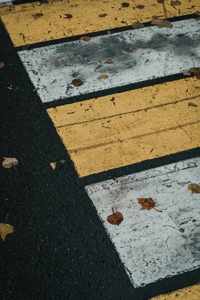 autumn leaves lie on the crosswalk