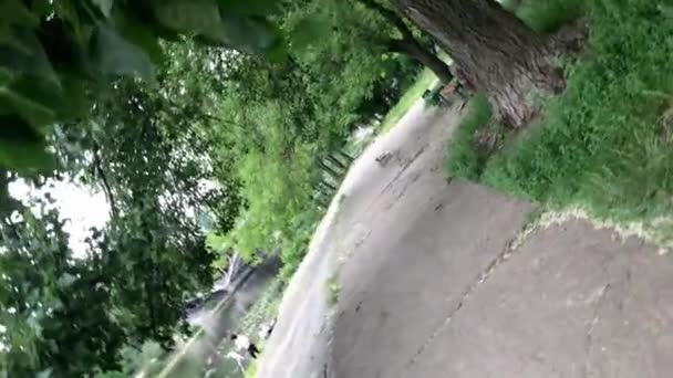 Pohled na stezku v parku a stromy v opadavém lese s 360 stupňovou rotací kamery. 4K. Efekt rotace. — Stock video