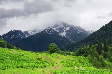 Spring valley dağlarda ülkede yol. Abhazya Cumhuriyeti