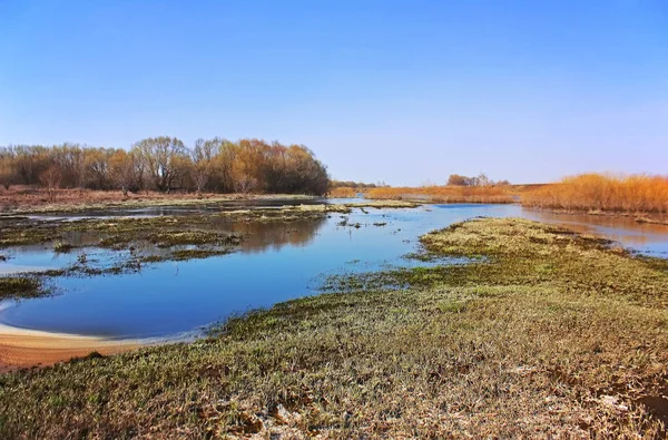 Jarní Povodně Řece Jarní Krajina — Stock fotografie