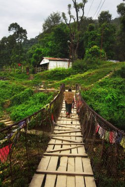 Bir Pardi Khola nehir yukarıda asılı köprüyü geçtikten sepet olan kadın. Pokhara, Nepal