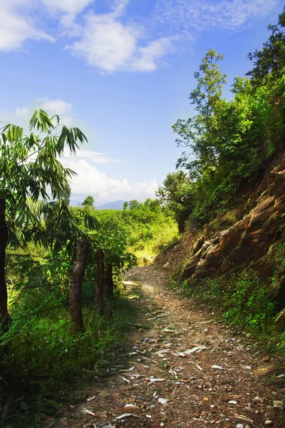 Dağ izi Himalayalar. Doğal peyzaj. Pokhara, Nepal