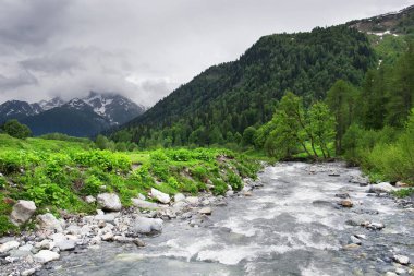 Dağ nehirde Avadhara. Güzel bahar manzara. Kafkas Dağları, Abhazya Cumhuriyeti.