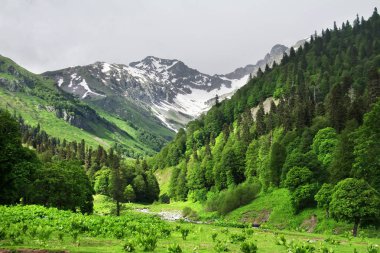 Dağ manzarası. Kafkas Dağları yaz aylarında. Avadhara, Abhazya Cumhuriyeti.