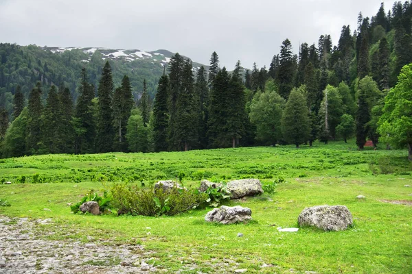 Mountain landscape. Caucasus Mountains in spring. Avadhara, Republic of Abkhazia.