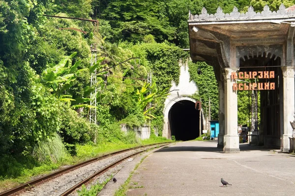 Psyrtskha Railway Station Train Tunnel Mountain New Athos Republic Abkhazia — Stock Photo, Image