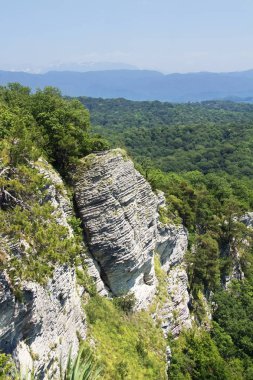 Kartal taş görünümünü. Yaz dağ manzarası. Sochi Milli Parkı, Rusya Federasyonu.