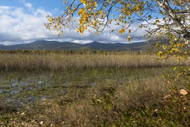 11.10.2018 Rusya. Sikhote-Alin devlet doğa biyosfer rezervi adını K. G. Abramov 'dan almıştır.