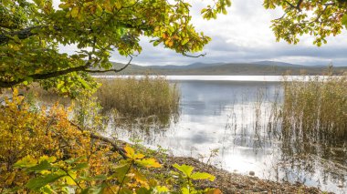 11.10.2018 Rusya. Sikhote-Alin devlet doğa biyosfer rezervi adını K. G. Abramov 'dan almıştır.