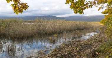 11.10.2018 Rusya. Sikhote-Alin devlet doğa biyosfer rezervi adını K. G. Abramov 'dan almıştır.