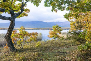 11.10.2018 Russia. Sikhote-Alin state nature biosphere reserve named after K. G. Abramov clipart