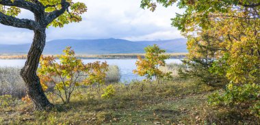 11.10.2018 Rusya. Sikhote-Alin devlet doğa biyosfer rezervi adını K. G. Abramov 'dan almıştır.