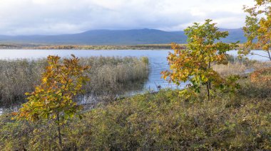 11.10.2018 Rusya. Sikhote-Alin devlet doğa biyosfer rezervi adını K. G. Abramov 'dan almıştır.