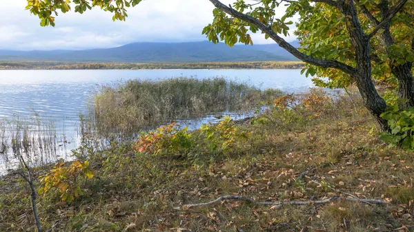 11.10.2018 Rusya. Sikhote-Alin devlet doğa biyosfer rezervi adını K. G. Abramov 'dan almıştır.