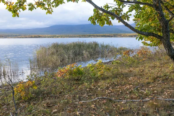 11.10.2018 Rusya. Sikhote-Alin devlet doğa biyosfer rezervi adını K. G. Abramov 'dan almıştır.