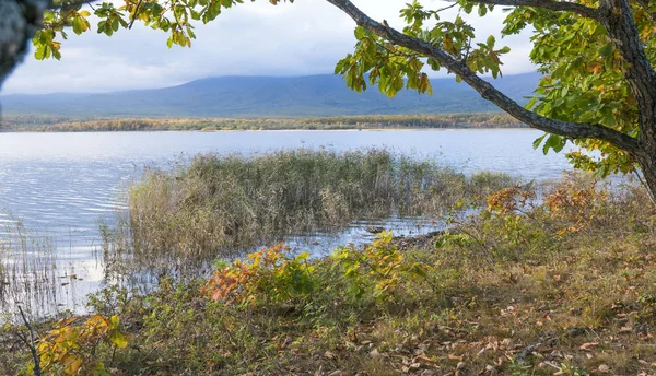 11.10.2018 Rusya. Sikhote-Alin devlet doğa biyosfer rezervi adını K. G. Abramov 'dan almıştır.